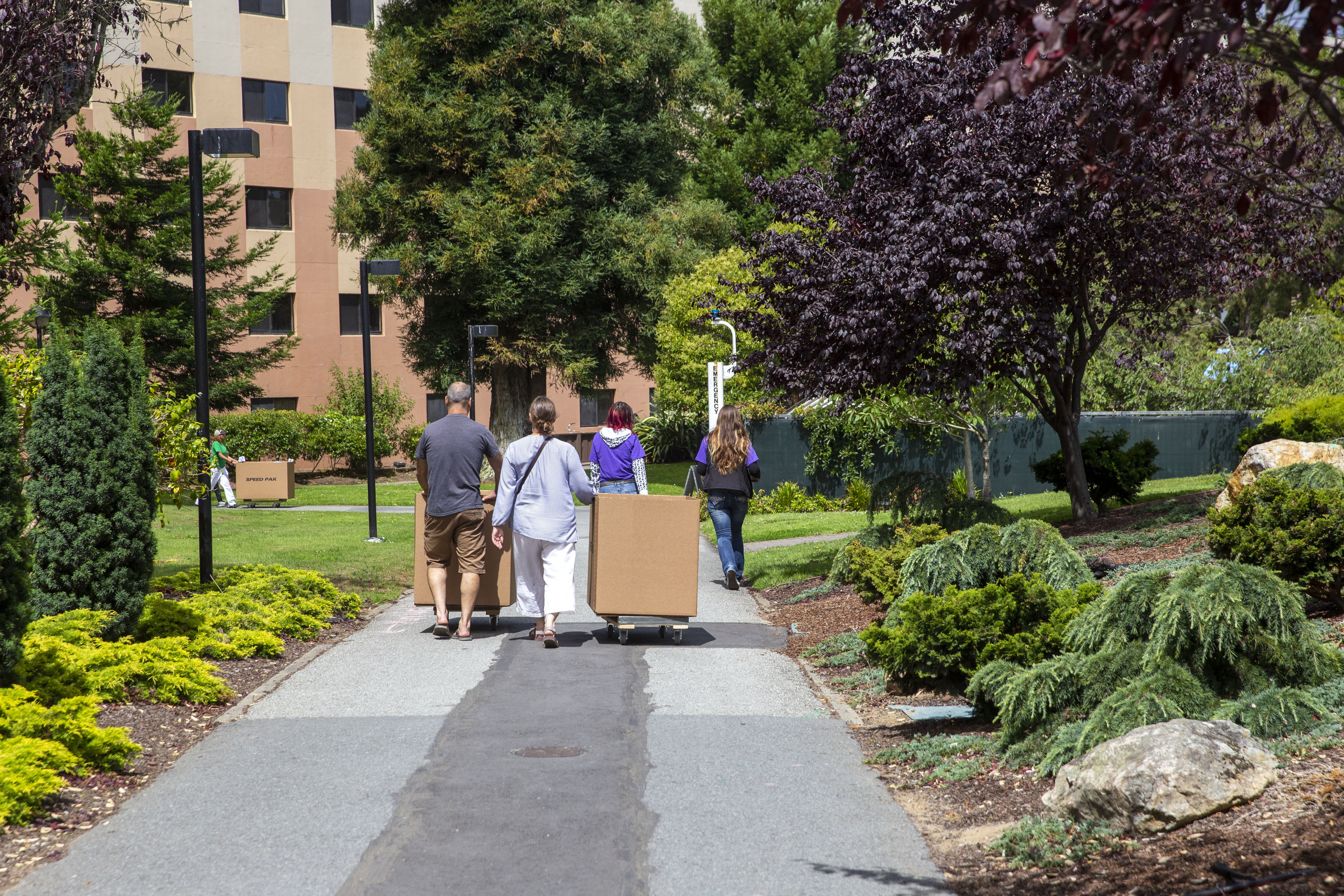 Students moving belongings on move-in day.