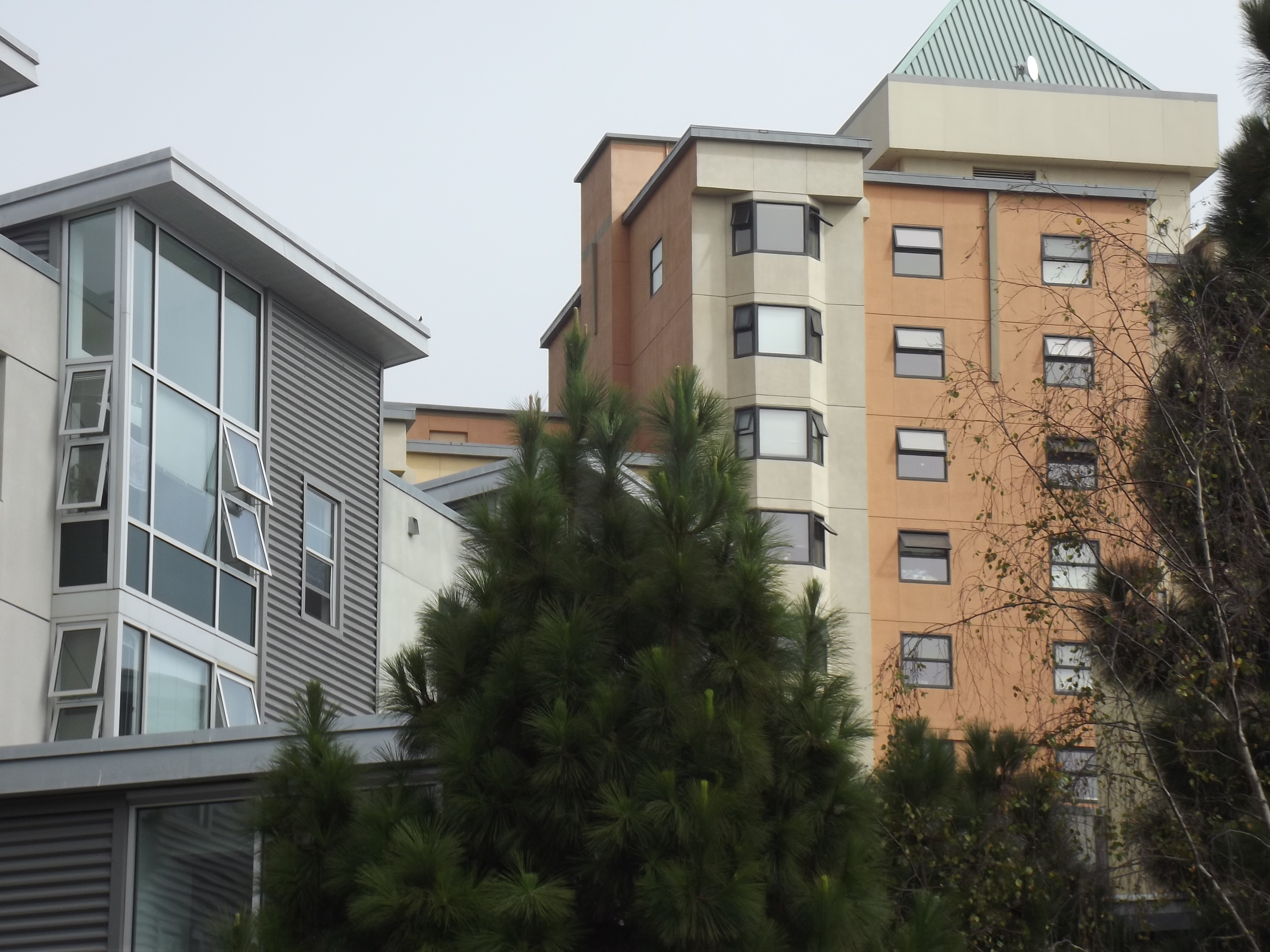 Student Housing Buildings