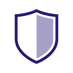 Security (Including Safewalk Services)