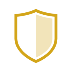 Security (Including Safewalk Services)